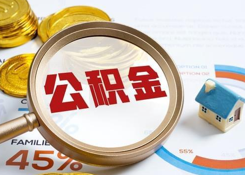 湛江2025年政策调整对个人影响综合解析‌